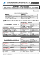 TORNEO FEDERACION BENJAMIN B 24-25